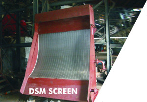 DSM Screen